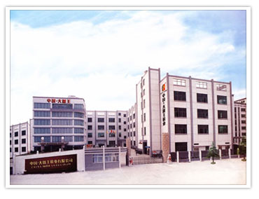 CHINA DAZHIW.SHOES CO., LTD