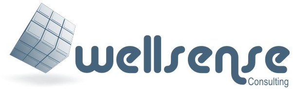 Wellsense Consulting