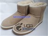 UGG 5854 classic mini sheepskin boots wholesales