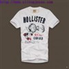 popular Hollister T shirts,Hollister shirts in low price free shipping 