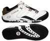 Artistic shoes
