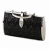 evening handbag