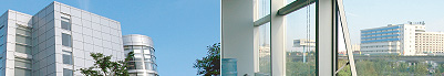 Guangzhou Top Shoes Co., Ltd.