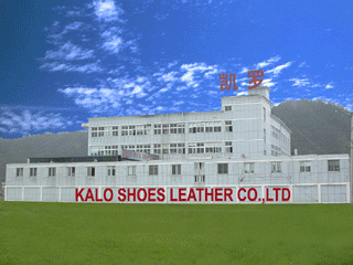Wenzhou Kailuo Leather Ware Co., Ltd.