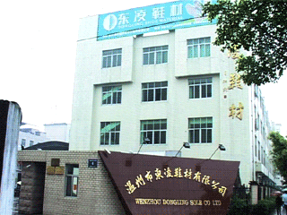 Wenzhou Dongling Shoes Material Co., Ltd.