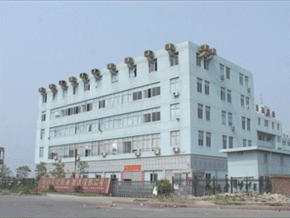 Zhejiang Worth Shoes Manufacturing Co., Ltd.