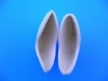 pointe insoles